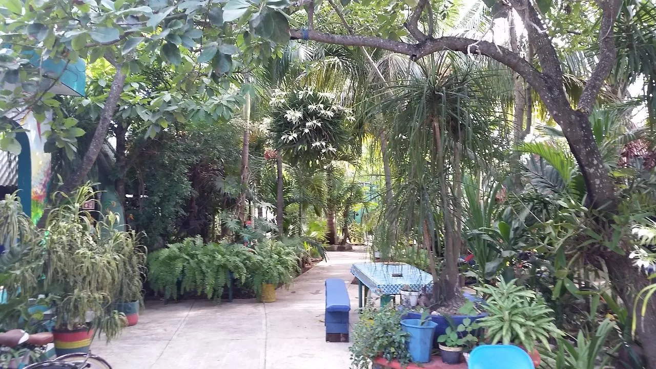 Rancho Tranquilo Hostel Tulum