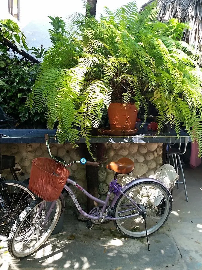 Rancho Tranquilo Hostel Tulum