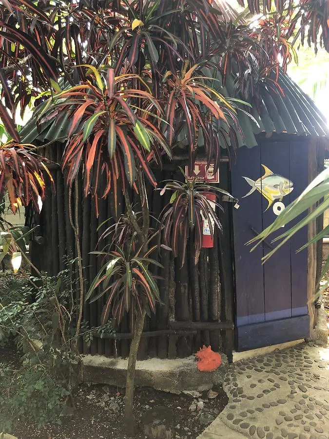 Rancho Tranquilo Pansiyon Tulum Meksika