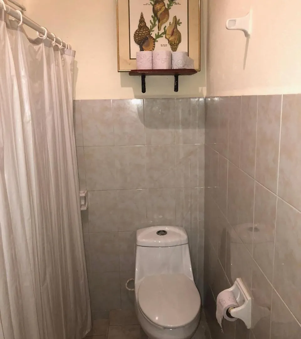 Hostel Rancho Tranquilo Pansiyon Tulum Meksika